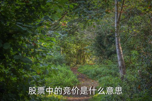股票中的竞价是什么意思