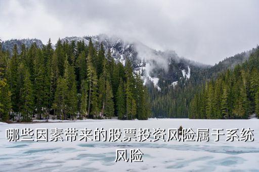 哪些因素带来的股票投资风险属于系统风险