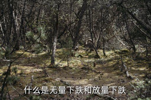 什么是无量下跌和放量下跌
