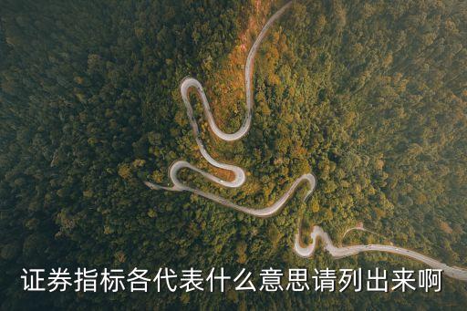 证券指标各代表什么意思请列出来啊