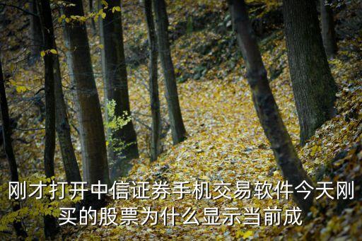刚才打开中信证券手机交易软件今天刚买的股票为什么显示当前成