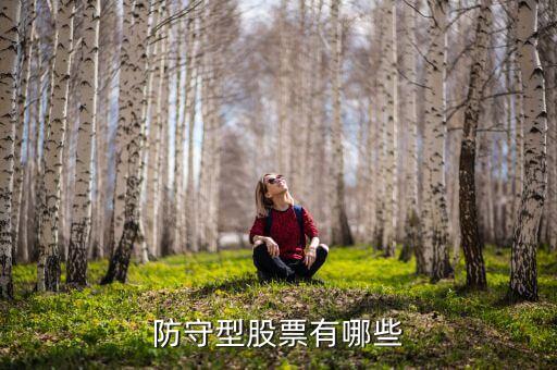 防守型股票有哪些