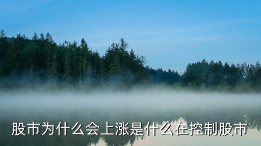 股市为什么会上涨是什么在控制股市