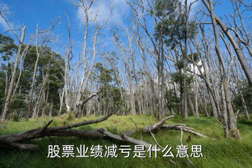 股票业绩减亏是什么意思
