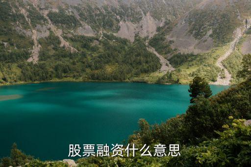 股票融资什么意思