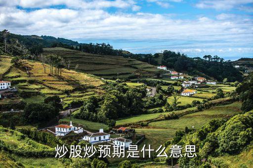 炒股炒预期是什么意思