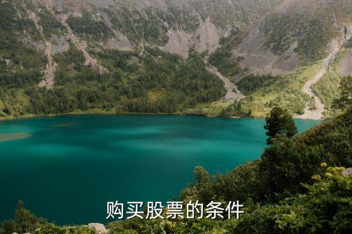 购买京市股票条件是什么，公民购买股票的条件是什么