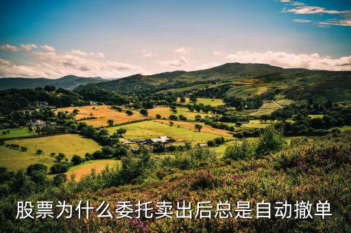 股票为什么委托卖出后总是自动撤单