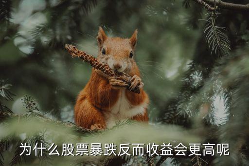 为什么股票暴跌反而收益会更高呢