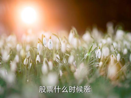 日月股份股票什么时候涨，股票什么时间能上涨