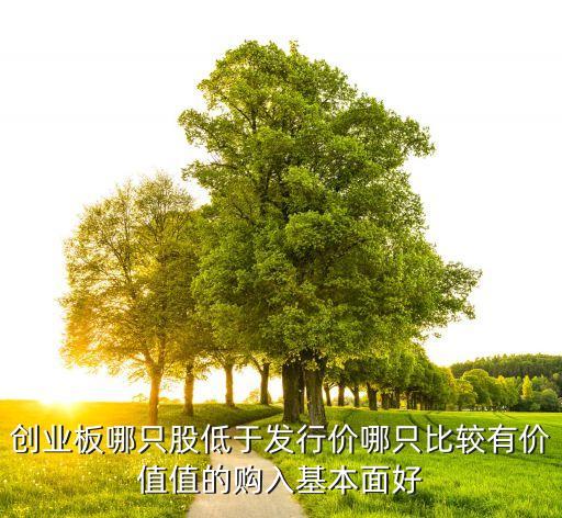 创业板哪只股低于发行价哪只比较有价值值的购入基本面好