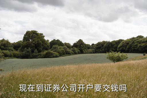 现在到证券公司开户要交钱吗