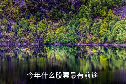 今年什么股票最有前途