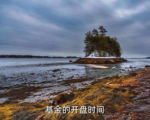 基金的开盘时间