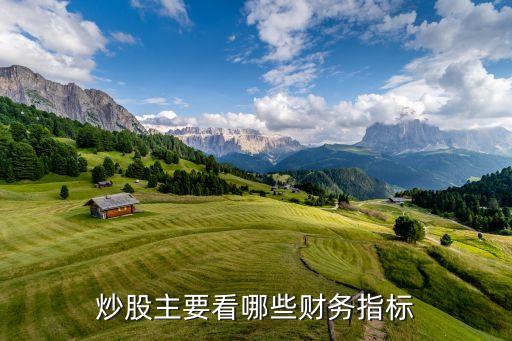 炒股主要看哪些财务指标