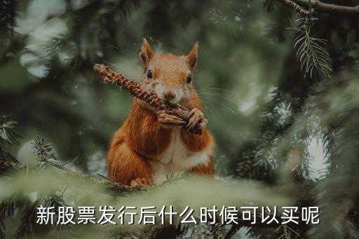新股票发行后什么时候可以买呢