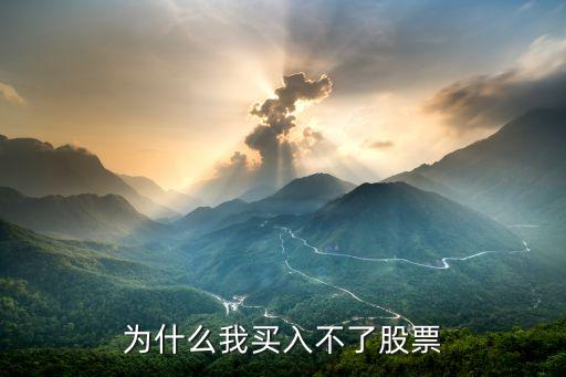 为什么我买入不了股票
