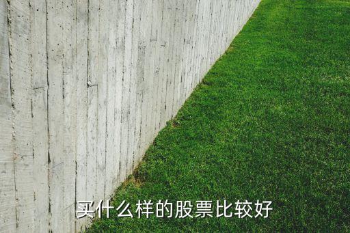 大家喜欢什么样的股票呢，买什么样的股票比较好