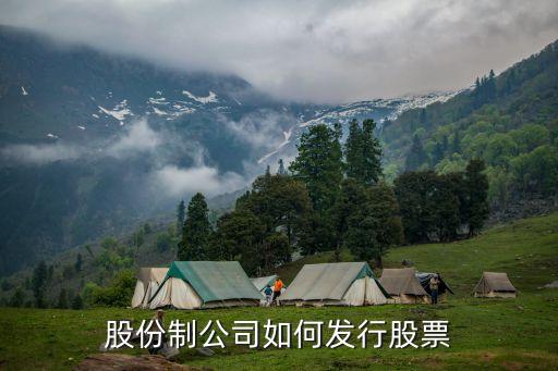 股票发行为什么要资产评估，为什么要经行资产评估
