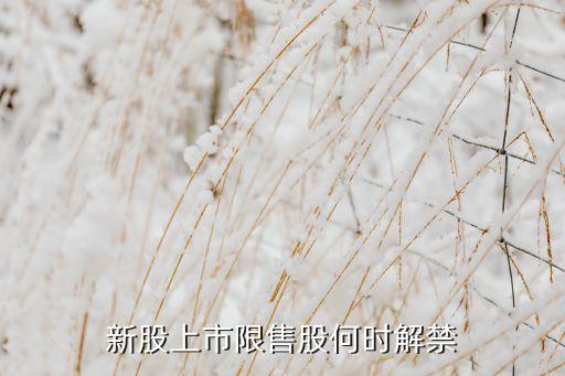 新股上市限售股何时解禁