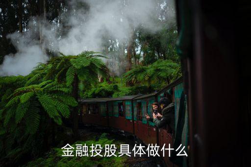 金融投股具体做什么