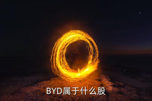 BYD属于什么股