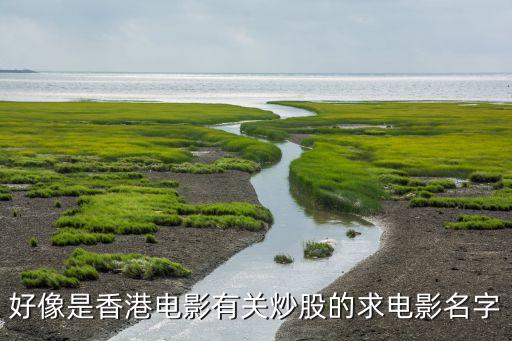 沈腾有关的影视股票叫什么，找一部关于炒股的电影