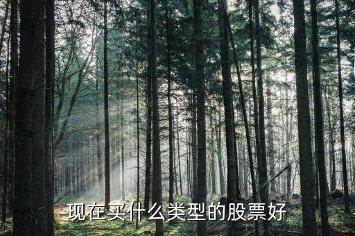 现在买什么类型的股票好