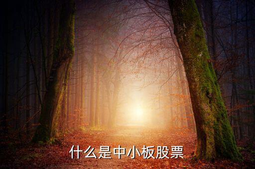 中小板指数现在叫什么股票，炒股中中小板是什么意思