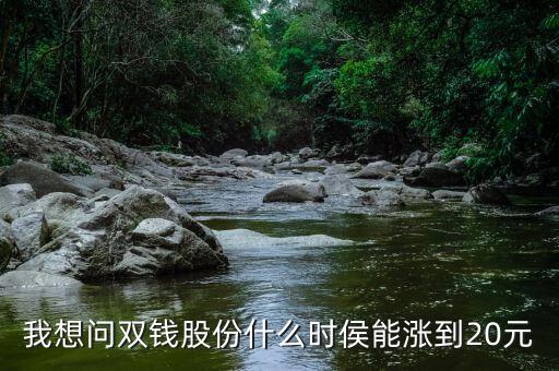我想问双钱股份什么时侯能涨到20元