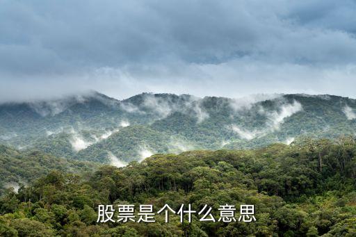 股票是个什么意思