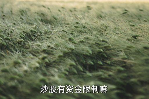 股票里资金有限制吗为什么，投资股市有资金限额吗