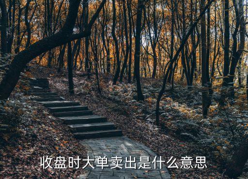 收盘时大单卖出是什么意思