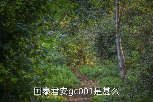 国泰君安gc001是甚么