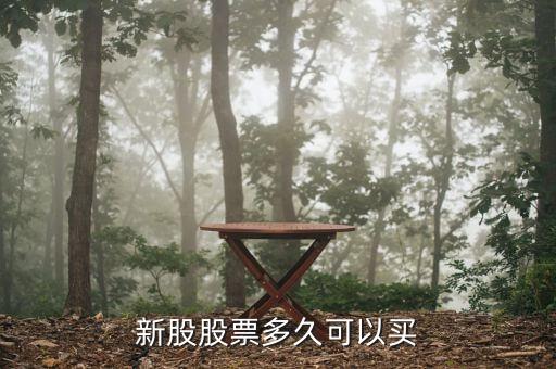新股股票多久可以买