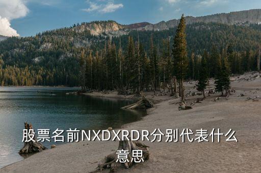 股票名前NXDXRDR分别代表什么意思