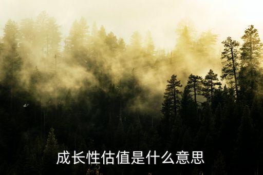 股票的成长价值是什么意思，股票中的成长性的含义