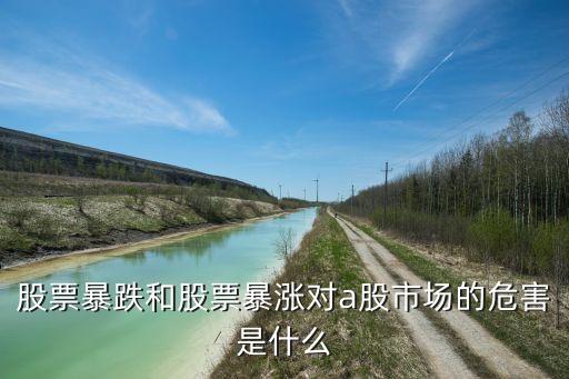 股票暴跌和股票暴涨对a股市场的危害是什么