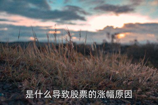 是什么导致股票的涨幅原因
