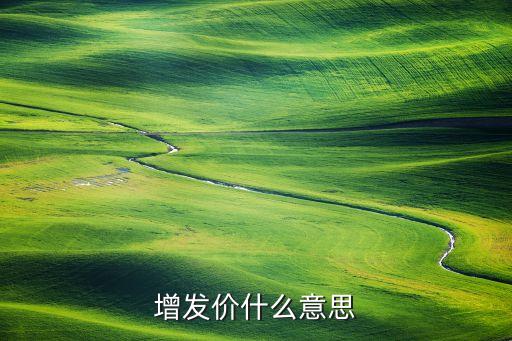 增发价什么意思