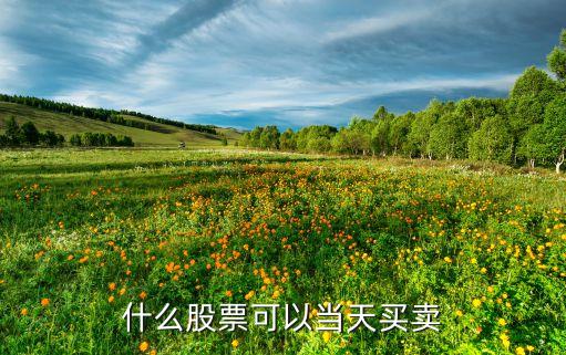 什么股票能当天买当日卖，什么股票可以当天买卖