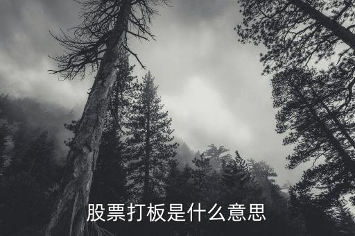 股票说的打板什么意思，股票中说的打板是什么意思