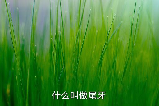 什么叫做尾牙