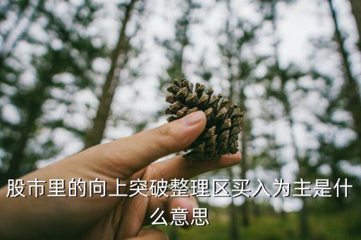 股市里的向上突破整理区买入为主是什么意思