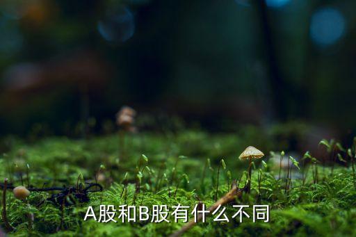 A股和B股有什么不同