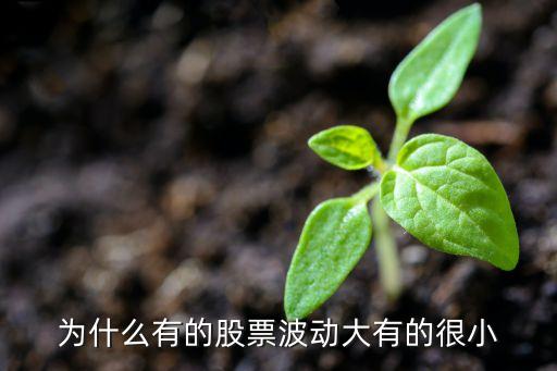 为什么有的股票波动大有的很小
