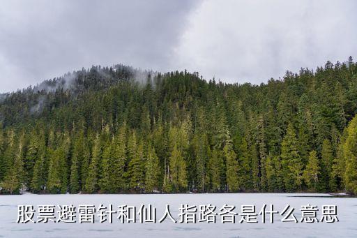 仙人指路的股票什么意思，什么是仙人指路股票图形