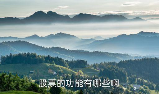 股市中的股票有什么作用，股票的功能有哪些啊