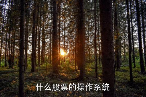 股票市场操作系统是什么，股票交易系统都有哪些
