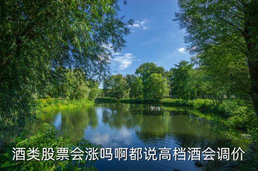 茅台股票什么时候会大涨，贵州茅台的股票会继续涨吗